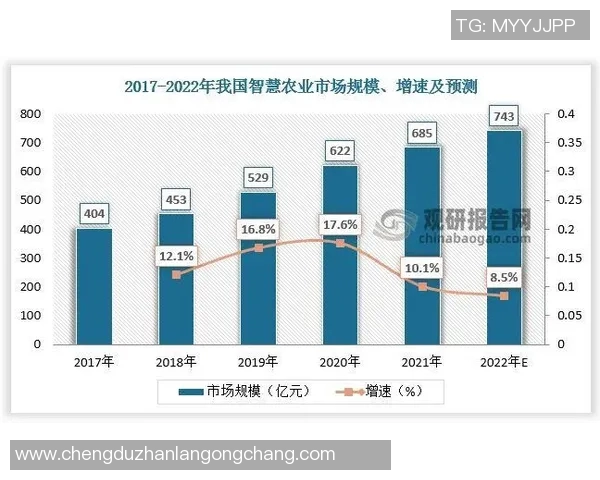 深入探讨北京篮球队实力表现的数据分析与趋势解读