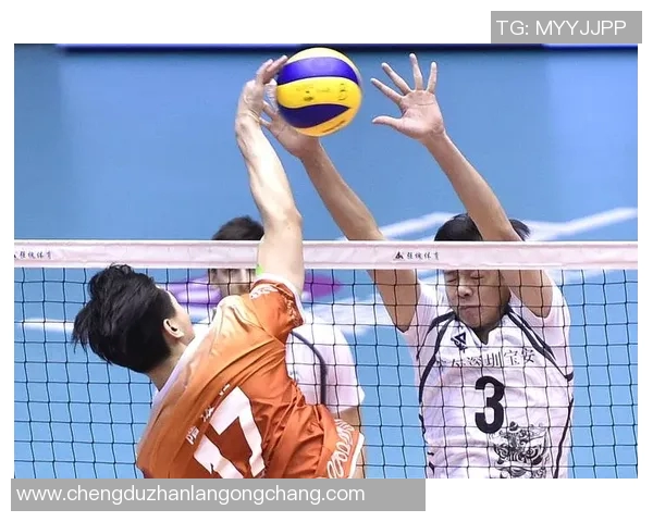 深圳排球队个人能力提升引发热议新变革的背后故事