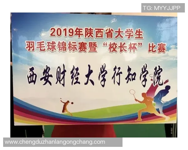 西安羽毛球队进攻策略分析与比赛表现评估探讨