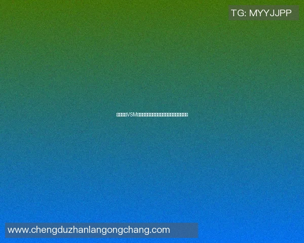 墨西哥与VSM的深度对比分析及其在全球市场中的影响探讨