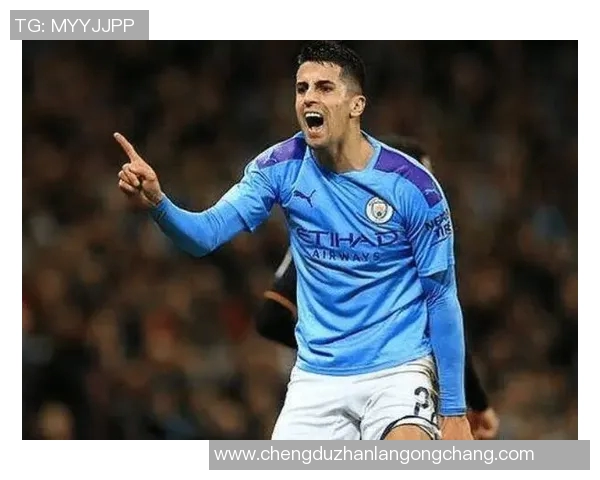 坎塞洛在赛场上的华丽转身与未来发展潜力分析