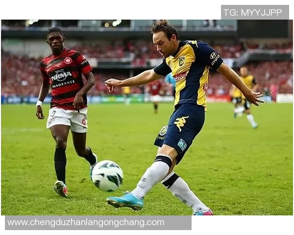 悉尼与布里斯班足球对决分析及赛事前瞻全面解读