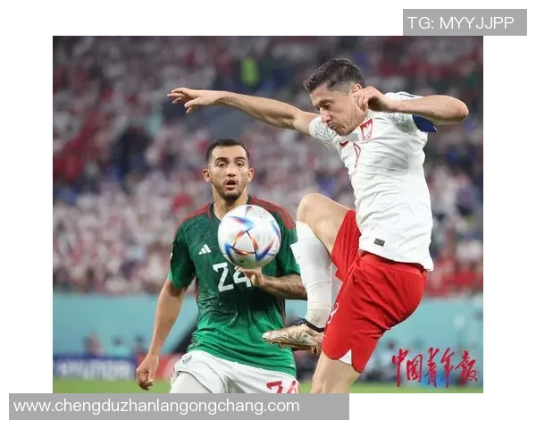 波兰与爱尔兰足球对决精彩视频回顾与精彩瞬间分析