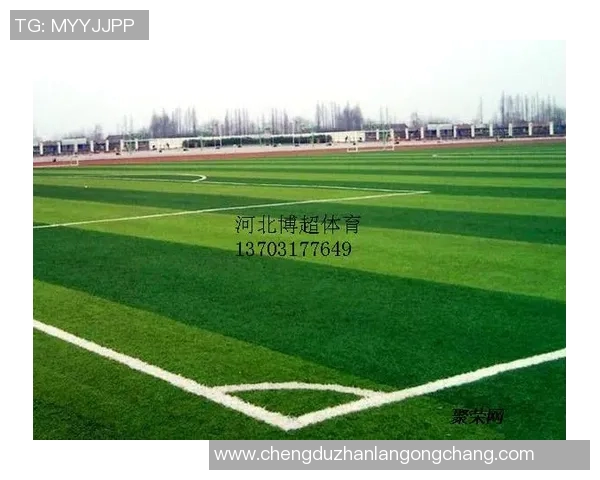 温布利草坪质量引发球员集体不满欧冠决赛场地争议升级