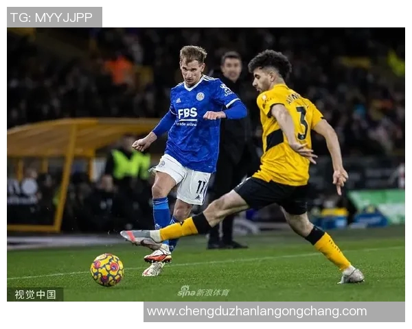 英超激战狼队迎战莱斯特城争夺关键三分全力以赴不容有失