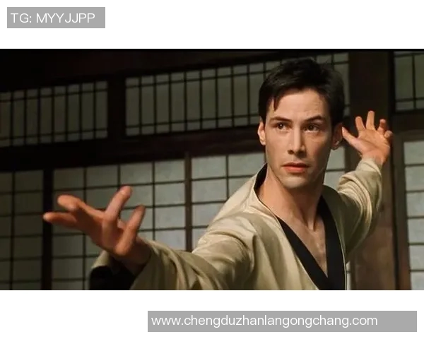 自由与神秘人之间的较量探讨与思考之旅