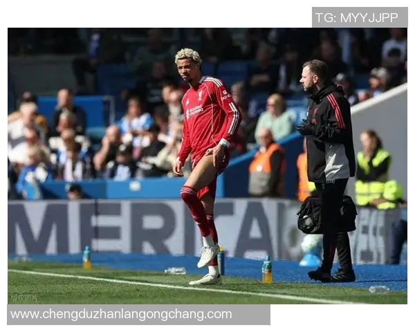 克洛普重申留任决心助力利物浦再战欧冠巅峰之路